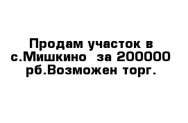 Продам участок в с.Мишкино  за 200000 рб.Возможен торг.